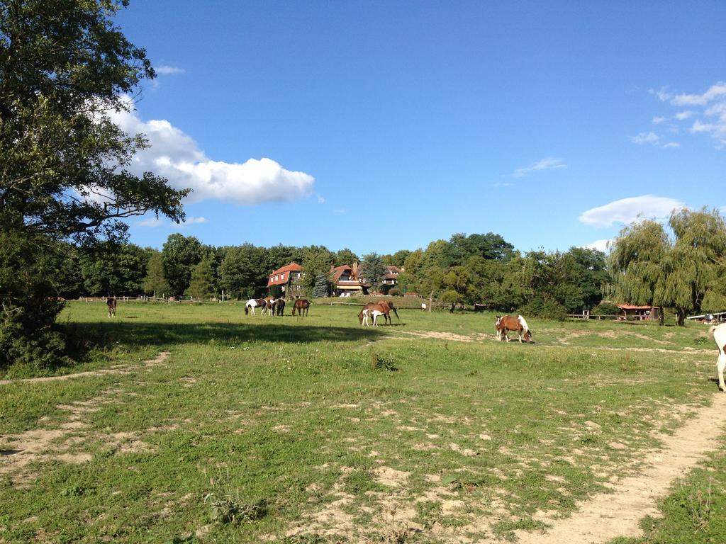 לינה וארוחת בוקר Oberhaslach Le Neufeld מראה חיצוני תמונה