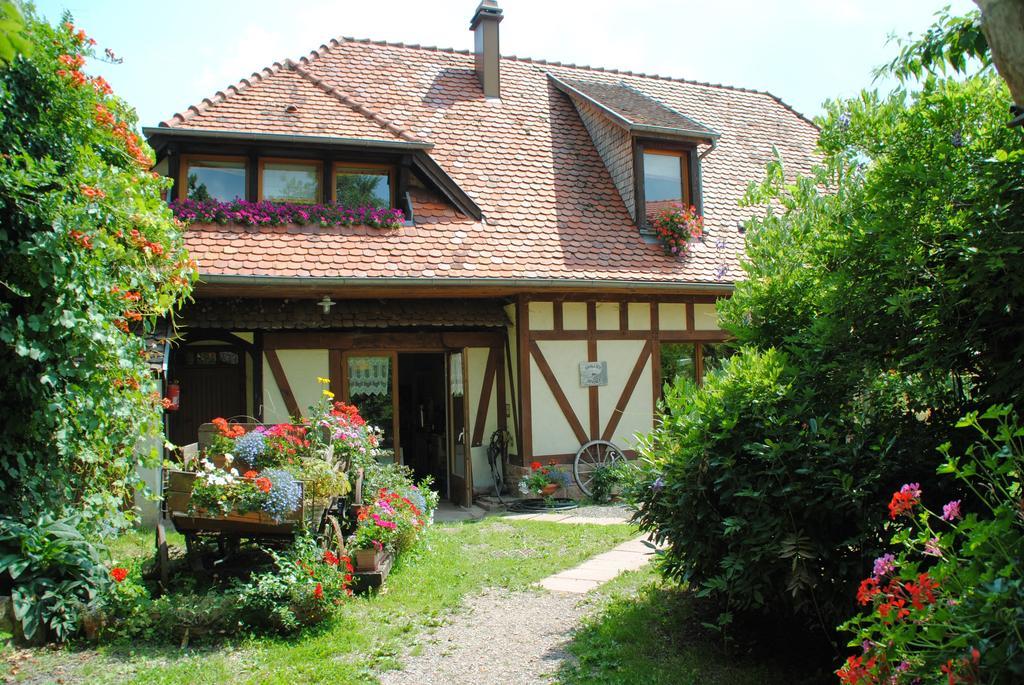 לינה וארוחת בוקר Oberhaslach Le Neufeld מראה חיצוני תמונה