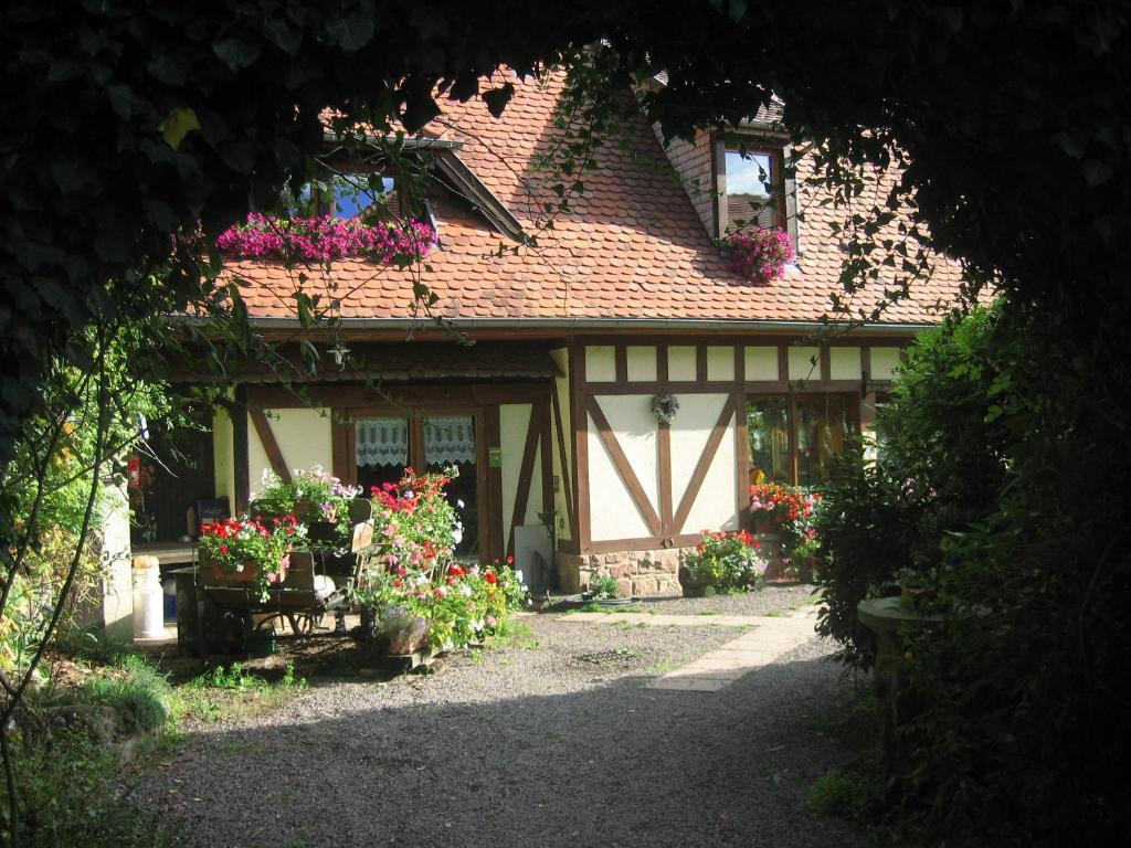 לינה וארוחת בוקר Oberhaslach Le Neufeld מראה חיצוני תמונה