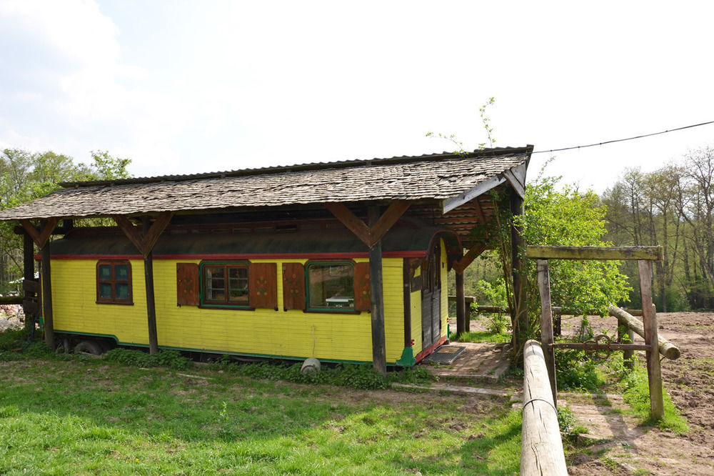 לינה וארוחת בוקר Oberhaslach Le Neufeld מראה חיצוני תמונה