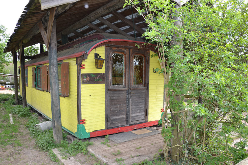 לינה וארוחת בוקר Oberhaslach Le Neufeld מראה חיצוני תמונה