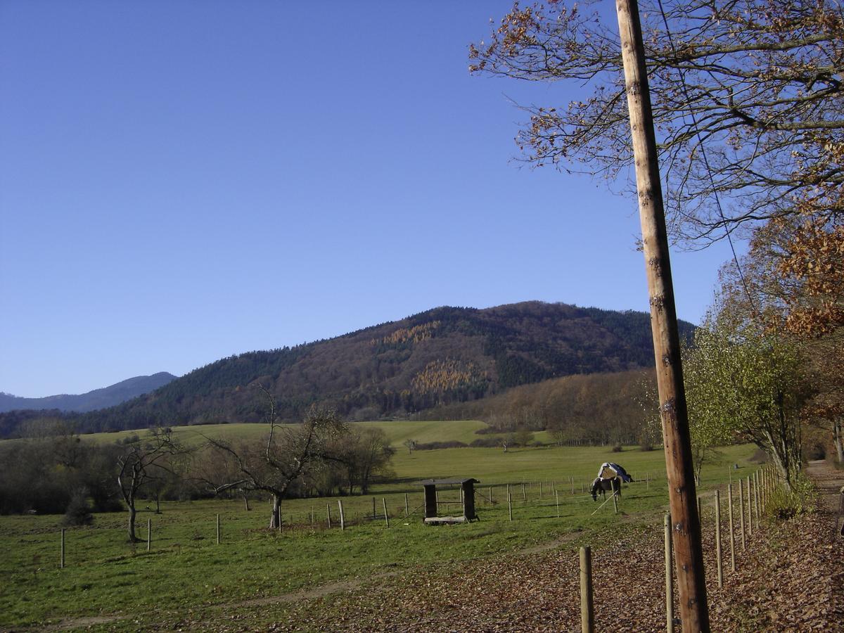 לינה וארוחת בוקר Oberhaslach Le Neufeld מראה חיצוני תמונה